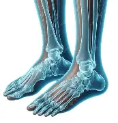 اشعة اكس للقدم صورتين Foot Xray ap Lat